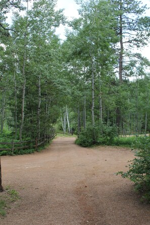 Drive through the aspen to reach your destination