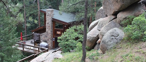 Nestled in the Pines, Firs, Aspen and boulders!