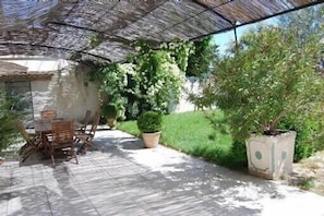 11x4 m terrace shaded by Laby Banks' roses