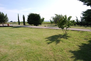 Around the property