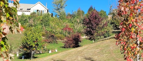 Jardines del alojamiento