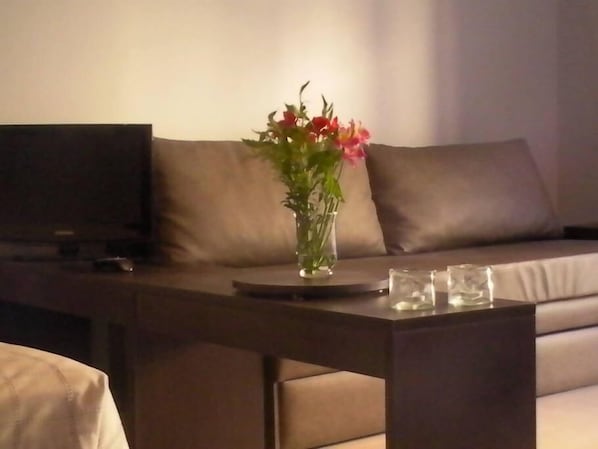Studio 1A - Corazon de San Telmo