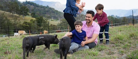 Enceinte de l’hébergement