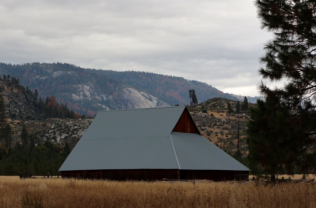 INSIDE YOSEMITE! Ten minutes from Yosemite Valley. SUMMER/FALL openings!
