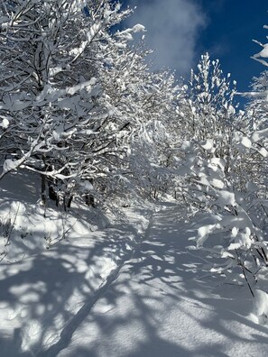 Desportos de neve e esqui