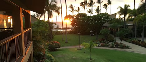 Sunset view from lanai. Steps from the beach!