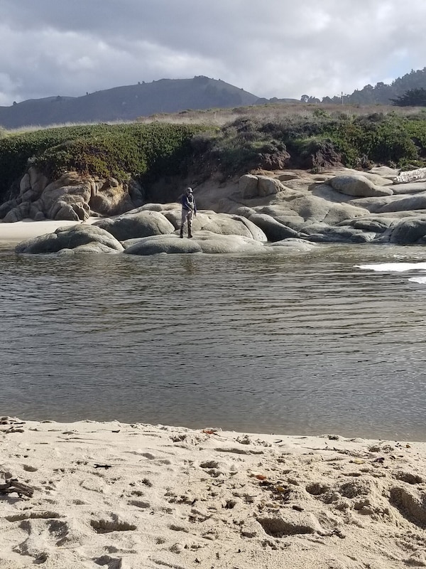 Walk to State Park's Carmel River Beach- a bit farther than to Carmel Beach