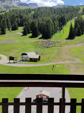 Les moutons nous ont rendu visite
