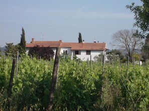 Blick auf unser altes Bauernhaus