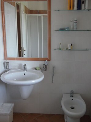 The bathroom. In the mirror view of the shower. 