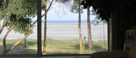 Vue sur la plage ou l’océan