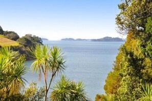 The bush fringed window to your bay