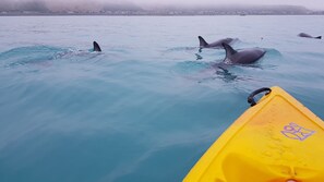 March 2019, kayaking in front of the cottage 