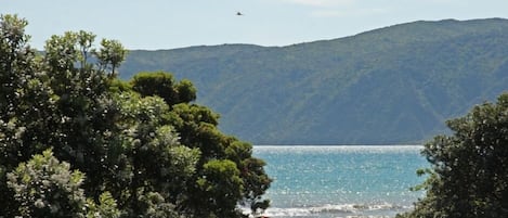 Vista para praia/oceano