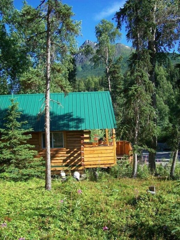 Cabin 1 with views of Mt. Cecil