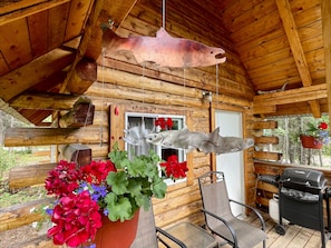 Cabin 1 Porch
