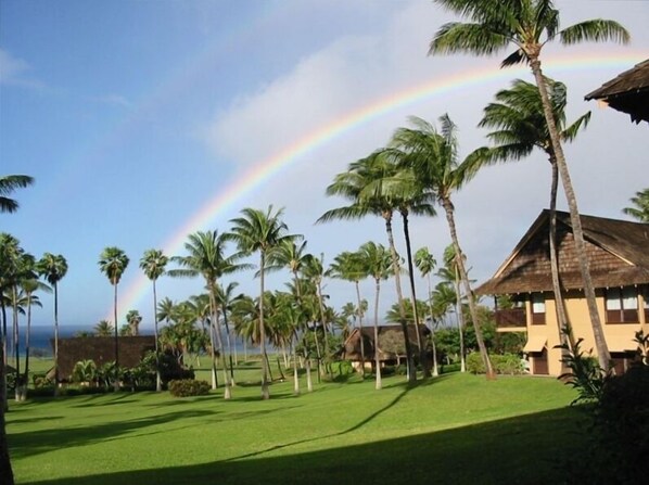 Rainbow from the lanai