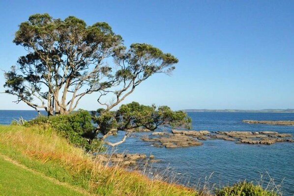 View from the Point