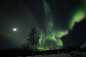 aurora view from backyard, with full moon