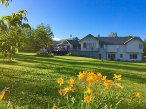 backyard in summer