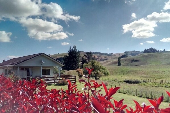tranquil surroundings