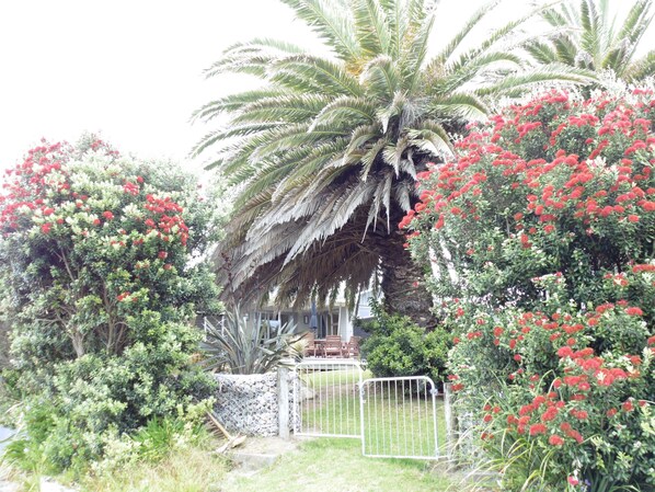 Road View of the House
