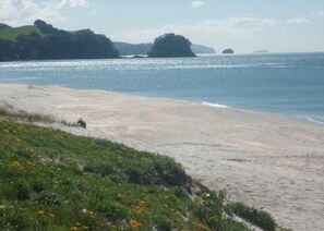 Whiritoa North