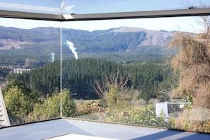 View of Redwoods from Kitchen