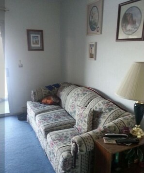 living room couch makes queen bed.