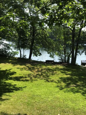 View From The Deck
