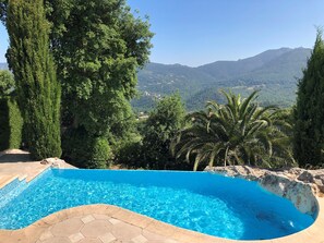 Our pool