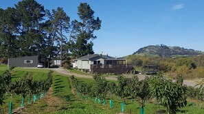 Property overview
