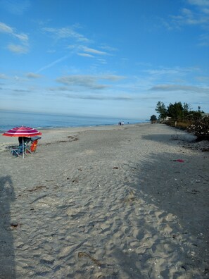 Englewood Beach with private access directly across the street.. no cars needed!