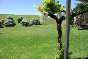 From the verandah