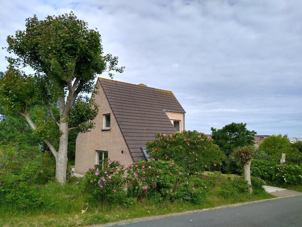 Exteriör