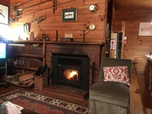 LIVING ROOM FIRE PLACE