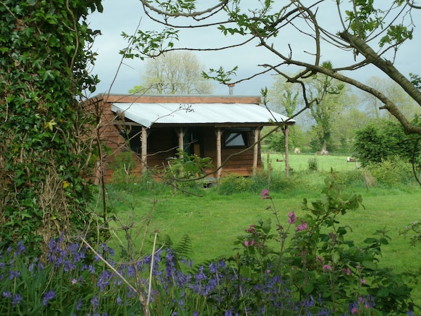 Preseli Cabin from the tree lined walk