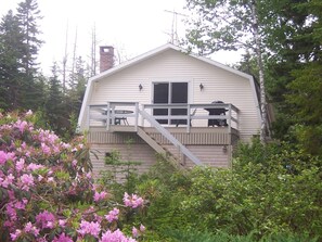 The exterior from the gardens.