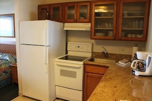 Fully equipped kitchen with ice maker, blender, coffee maker etc.