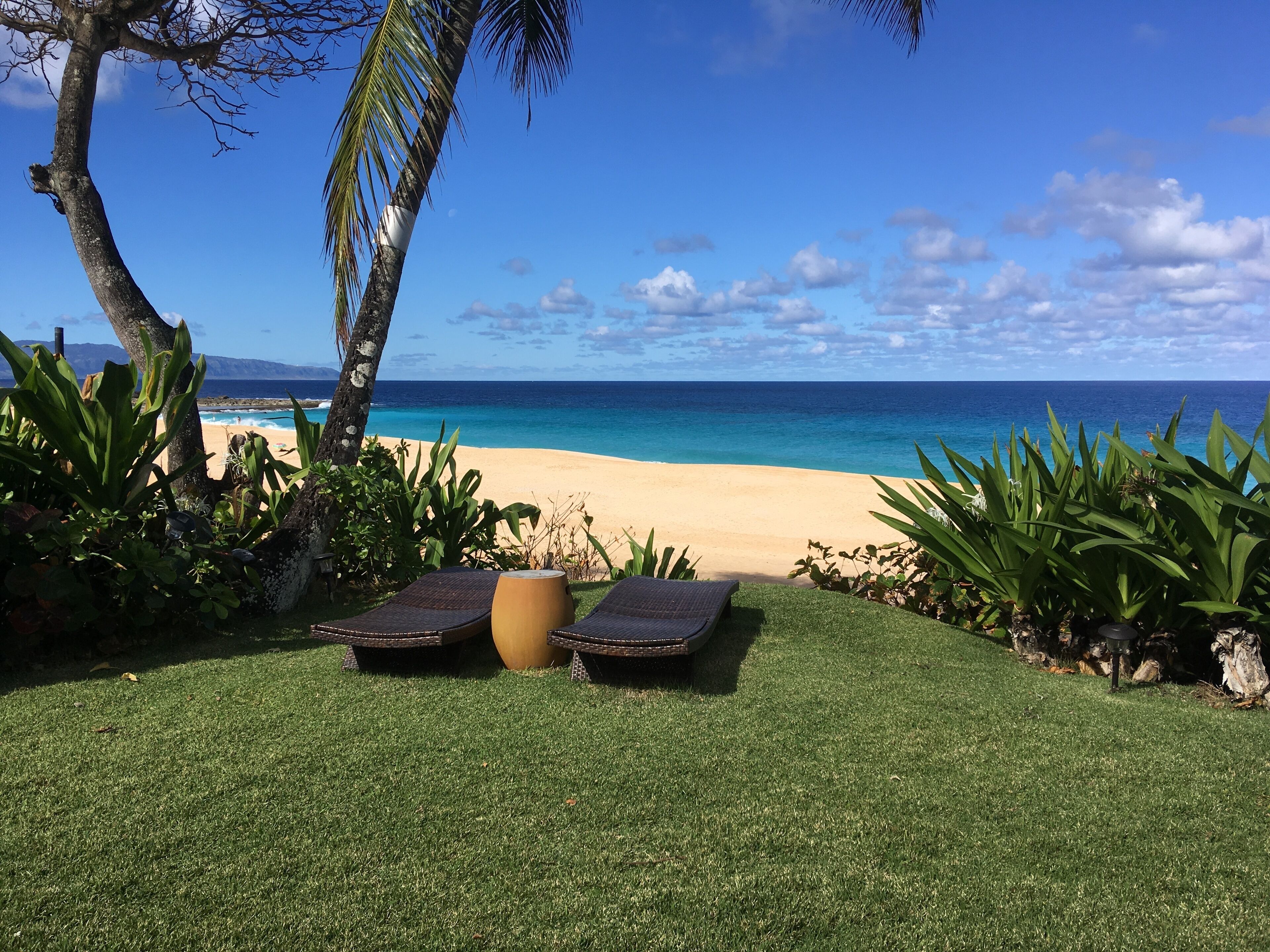 Zen Tropical Beachfront Studio. Close to Log Cabins