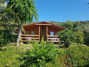 Terras