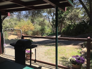BBQ