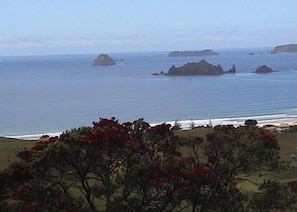 Opito Bay from the lookout
