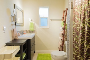 Back bathroom walk-in shower