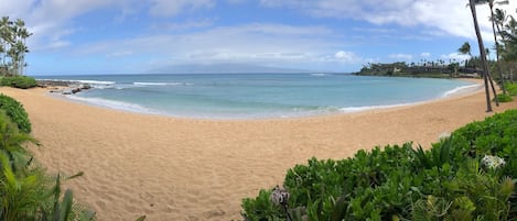 The Napili Bay