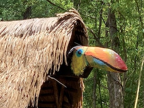 Toucan entrance 