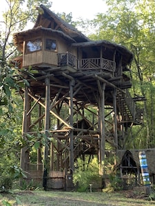 Tropical Treehouse surrounded by Jungle Gardens