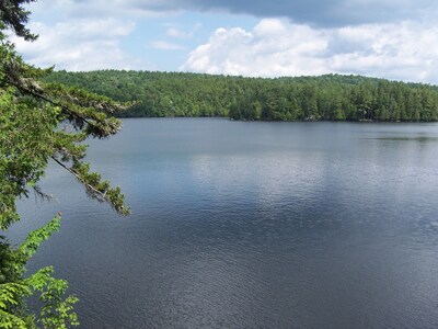 Classic Adirondack Lean-to with shower, fire pit, dock and waterfront