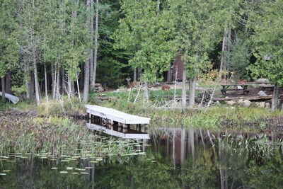 Classic Adirondack Lean-to with shower, fire pit, dock and waterfront