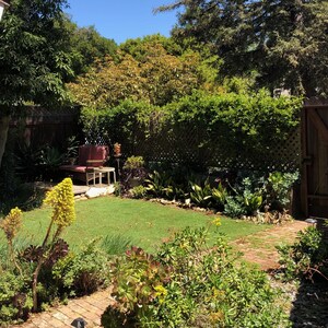 Secluded garden cottage